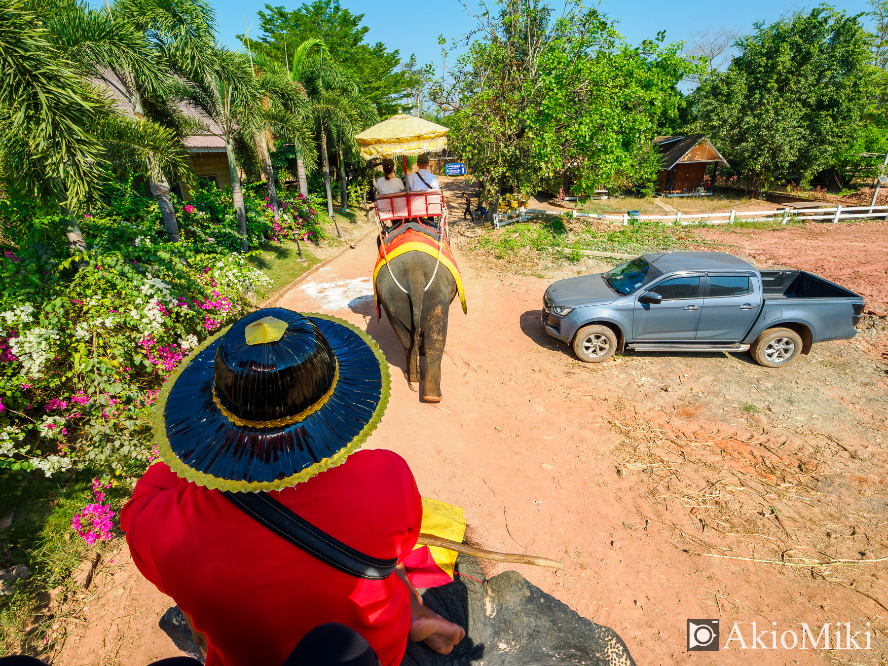 本格的な象乗り体験 + ダムヌンサドゥアック水上マーケット半日観光
