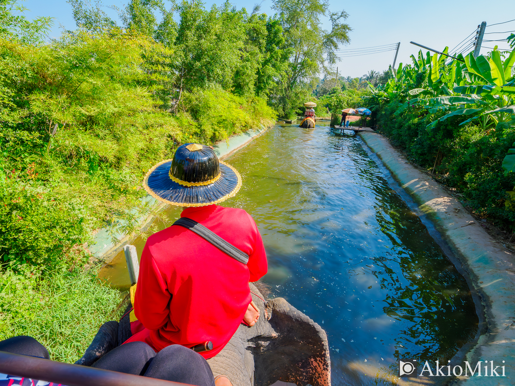 本格的な象乗り体験 + ダムヌンサドゥアック水上マーケット半日観光