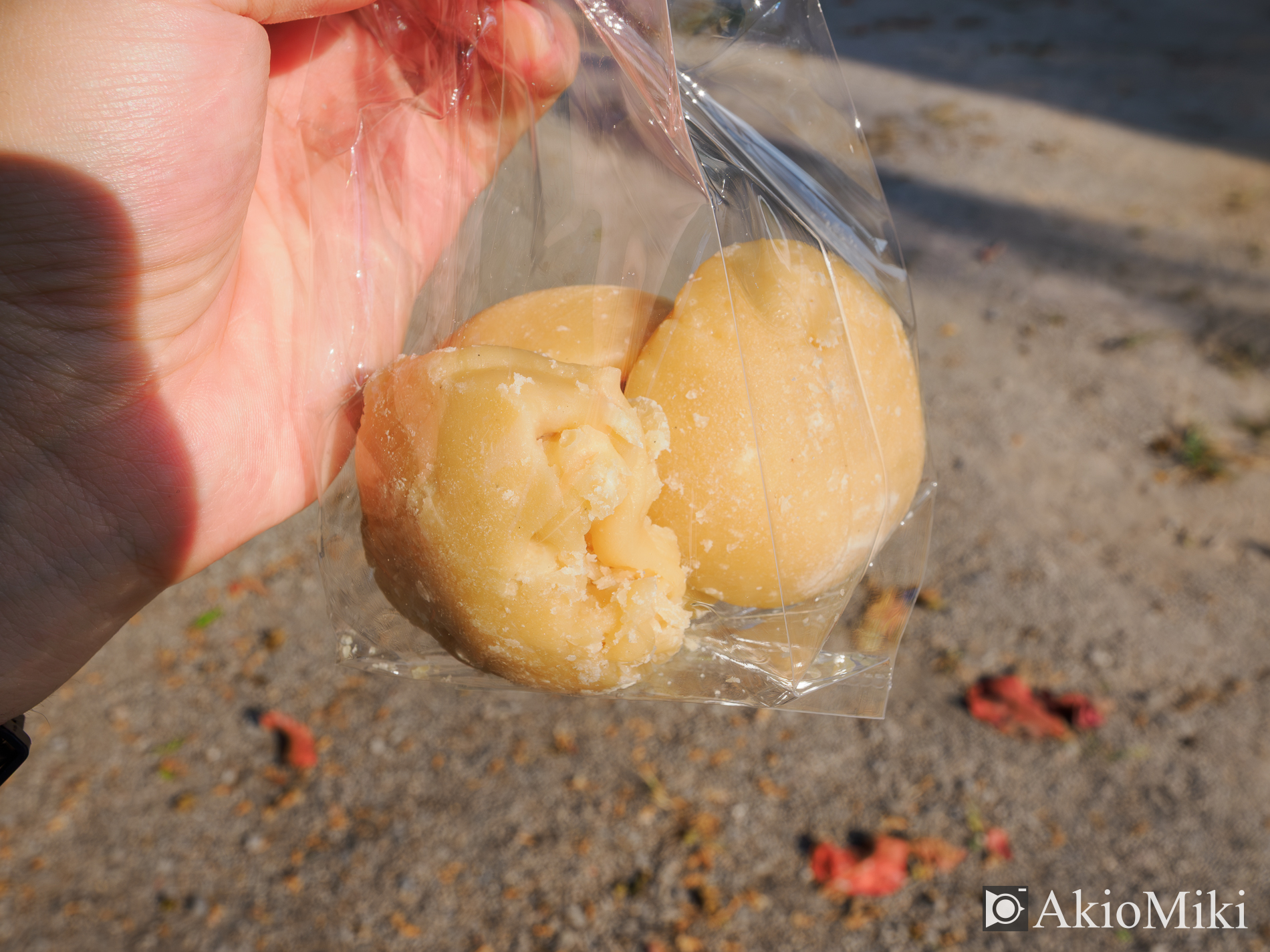 タイ・バンコク 本格的な象乗り体験 + ダムヌンサドゥアック水上マーケット半日観光