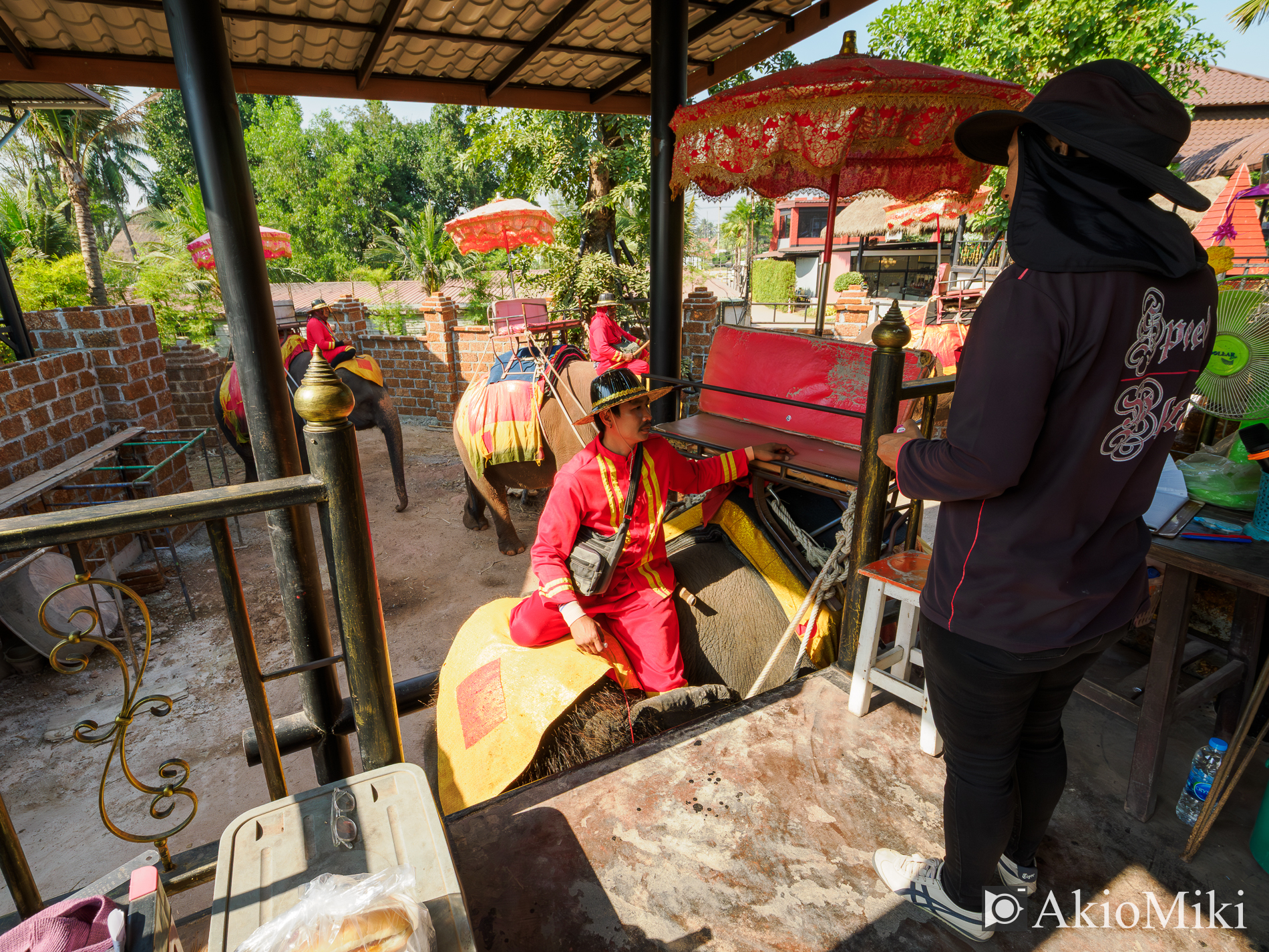 本格的な象乗り体験 + ダムヌンサドゥアック水上マーケット半日観光