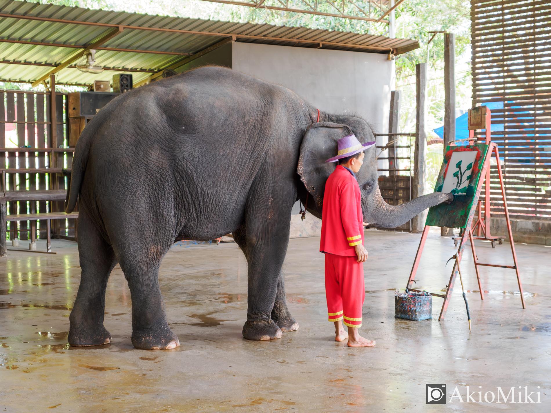 本格的な象乗り体験 + ダムヌンサドゥアック水上マーケット半日観光