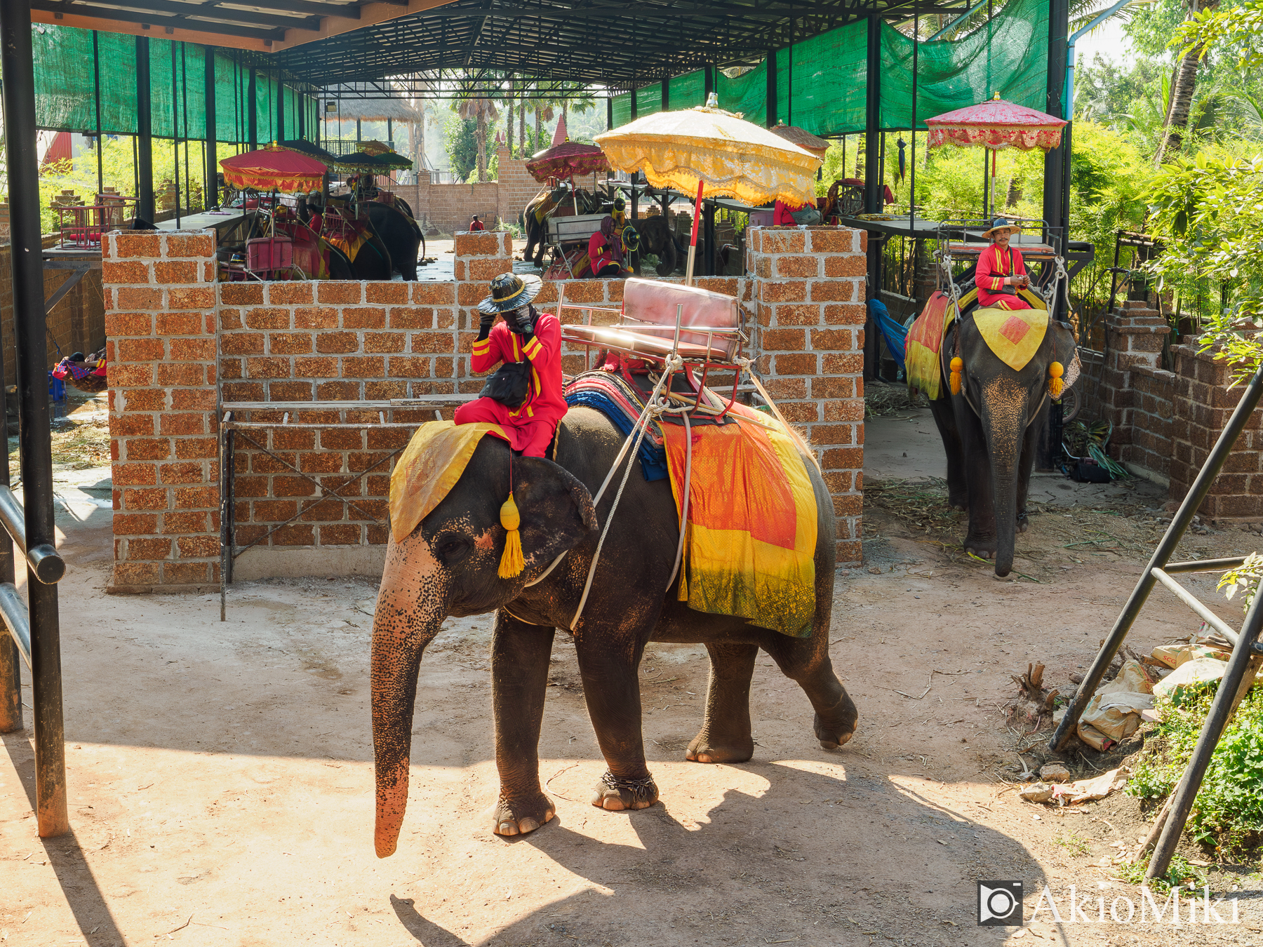 本格的な象乗り体験 + ダムヌンサドゥアック水上マーケット半日観光