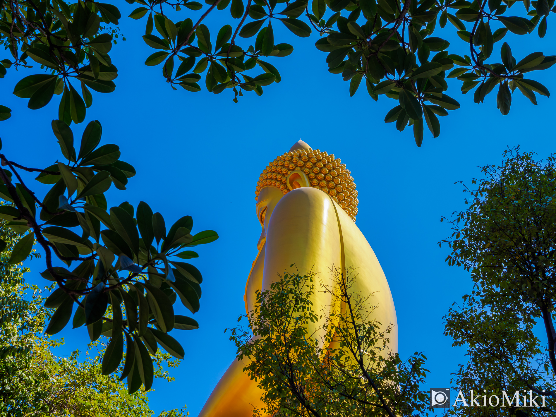 ワット・パークナム