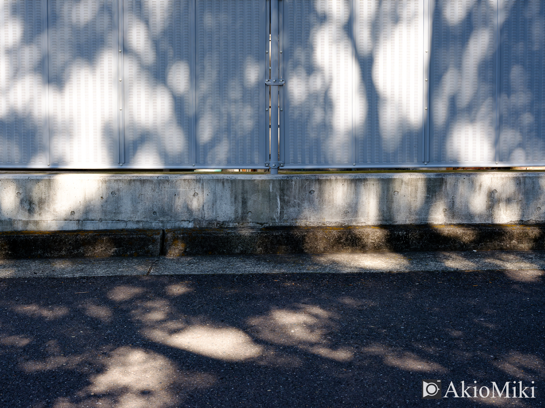 GFX50SⅡ + GF32-64mm F4 R LM WR￼