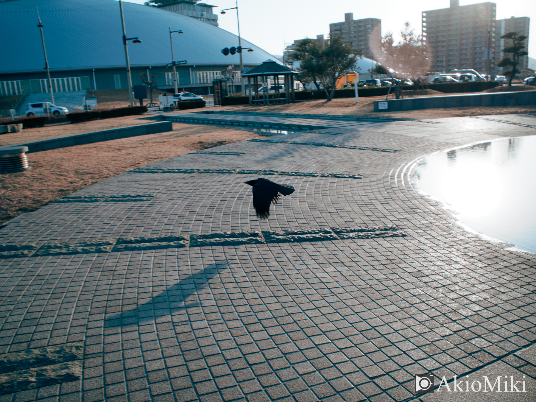 OM SYSTEM OM-3 + BCL-1580 スナップ 日中