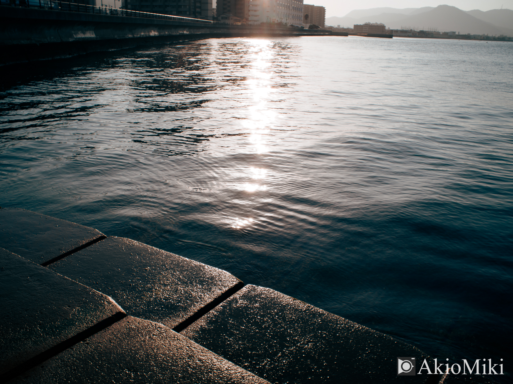 OM SYSTEM OM-3 + BCL-1580 スナップ 日中