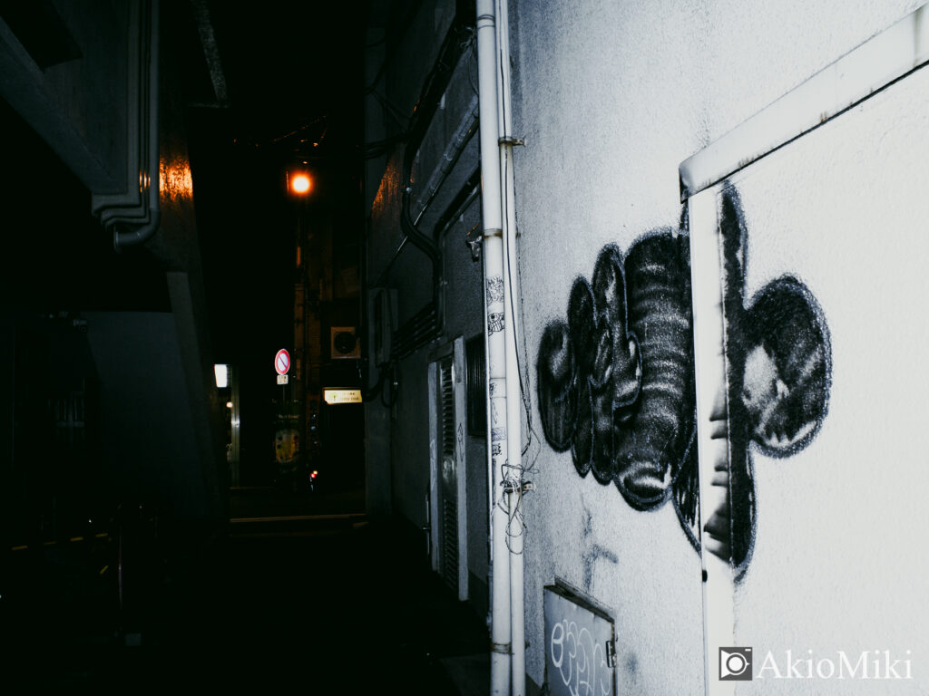 OM SYSTEM OM-3 + BCL-1580 スナップ 夜