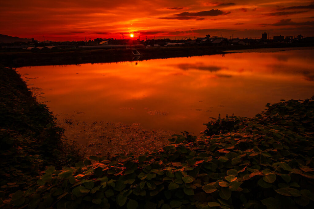 香川県の丸亀市でみた水面に反射する夕方の風景